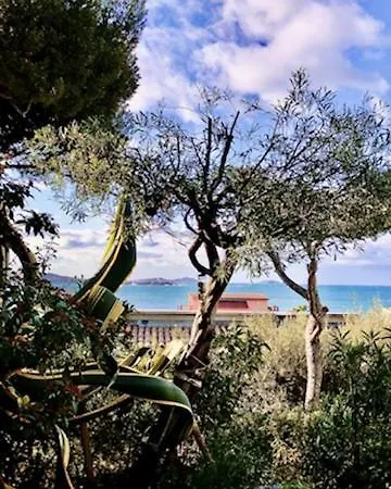 T2 En Rez De Jardin Vue Mer Centre, Climatise *